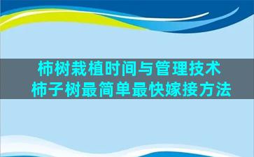 柿树栽植时间与管理技术 柿子树最简单最快嫁接方法